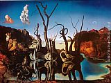 Swans Reflecting Elephants by Salvador Dali